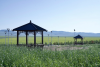 Erdenes Mongol Joins Kharkhorum City in Development and Tree Planting Effort