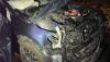 Person injured after vehicles hit moose in New Hampshire