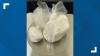 Connecticut man arrested with 15 Xanax bars, 17 Oxy pills and 113 grams of cocaine