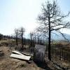 Questions loom over Albania's forests after devastating fires