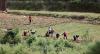 Bhutan wins global honour for exemplary biodiversity protection