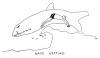Peter Benchley & Jaws: Hamptons in the Book vs. the Movie