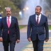 Ethiopia’s Nile dam is a project that won't hurt anyone, says Somali President