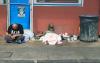 Honolulu, state to gather detailed homelessness data
