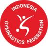 Indonesia says ban on Israeli gymnasts backed by world body