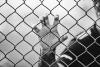 A Healthcare Crisis Behind Bars