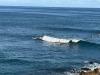 State, Maui County trying to boost sports tourism, targeting events for competitors on way to 2028 Los Angeles Olympics