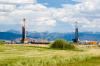 Science The Cool Down Researchers make stunning discovery about insects found on remote oil rig: 'Beneficial'