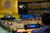 Beware Trump’s Ceasefire Without United Nations Action