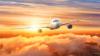 Another airline files for bankruptcy, cancels all flights