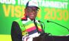 Development in focus, as Zanu PF’s busy conference week begins
