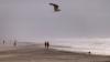 Nor’easter threatens coastal flooding: Will it affect air travel to Washington DC, New York and other cities?