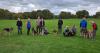 Dog walk raises money to support rescue and rehoming of German Shepherds