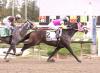 Barbadian Runner Upsets 1-10 Fave In Maryland Million Classic