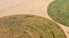 Researchers discover groundbreaking solution to growing food in deserts: 'My biggest hope'
