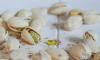 First pistachios planted in Dalmatia mark new chapter in Croatia for sustainable farming
