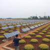 Energy Shortages Hinder DPRK Agriculture’s Drought Resilience