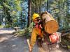 Washington state’s wildfire future: More volatile forests amid slashed budgets