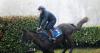 History made as Stumptown becomes first Irish-trained winner of storied Czech race