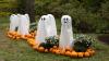 GALLERY: Pumpkin Festival Opens at Prague’s Troja Botanical Garden