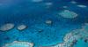 First climate tipping point reached after coral reef diebacks, scientists warn