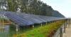 EnerGrid eyes $500 mn fundraise to build greenfield energy projects