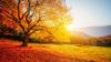 Scientists pinpoint major factor behind abnormally warm fall weather: 'It makes a big difference'