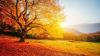 Science The Cool Down Scientists pinpoint major factor behind abnormally warm fall weather: 'It makes a big difference'
