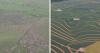 COP30 in Brazil: Five Innovative Solutions for Sustainable Agriculture and Global Food Security