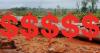 Banking on forests: Inside private sector plans to shape the Tropical Forests Forever Facility