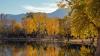 Where to get the best views of Arizona’s fall colors