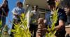 Denver students learn drought-resistant landscaping to fight urban heat