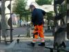 Seniors and immigrants drive Denmark’s job growth