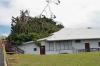 Hawaii AG investigates case of fatal banyan tree collapse