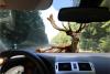 Beware of Deer Crossing the Road This Fall in Idaho
