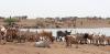 West Africa’s trade monitoring system has collapsed - why this is dangerous for food security