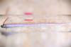 First oarfish sighting in Sri Lanka highlights citizen science in marine protection
