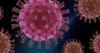 Scientists Just Revived a 40,000-Year-Old 'Zombie Virus' With Possible Pandemic Potential From Arctic Ice — And It Could Spread Again!