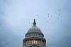 Business Reuters Factbox-US government shutdown: How it affects key economic data publishing