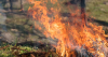 Increasing Threat of Wildfires Leads Louisiana Ag Commissioner to Issue Warning