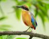 New STAR guidance supports governments and civil society in accelerating Nature-Positive action…