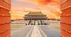China Focus: Food safety gaps, ginseng for Gen Z, sesame demand, and more