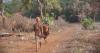 Cambodia's microloan 'debt traps’ test the World Bank