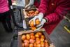 Phoenix, U.S. food prices climbing in part because of immigration crackdown, Labor Department says