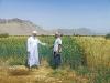 Oman develops new roadmap to strengthen food security