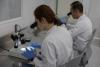 Brazil opens world's largest mosquito biofactory to fight disease