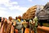 Chad Tops Cameroon’s Informal Livestock Trade in 2024