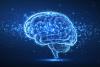 How Many States Have a Lower IQ than Colorado in 2025?