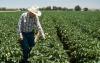 Are We Living Through the End of Texas Farming?