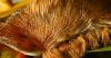 "Furry" Florida insect delivers shockingly venomous sting